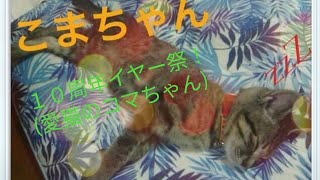 モンラジクラブ(モン狩り部)１０周年イヤー祭、ダイジェスト版第１１弾！