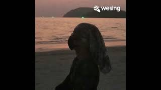 Download lagu Minah gadis dusun cover karaoke mp3