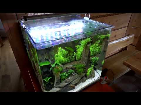 BLAU CUBIC 4545 91l aquarium
