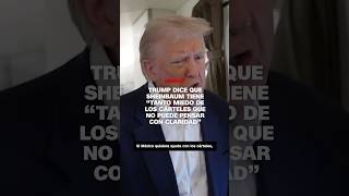Download lagu Trump dice que Sheinbaum tiene 'tanto miedo de los cárteles que no puede pensar con claridad' mp3