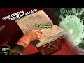 Bukti Kebenaran Virus Corona, Sudah Tertulis dalam Alquran? Bukti Kebenaran Virus Corona, Sudah Tertulis dalam Alquran?