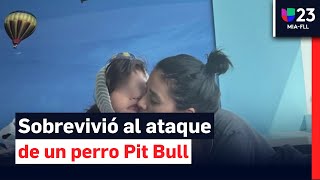 Cámara capta ataque de pit bull a niña de 8 años en Florida