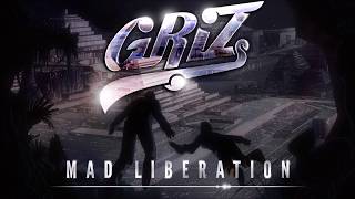 11 The Future Is Now - GRIZ