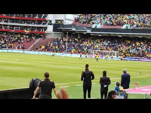 Gol empate de Ecuador vs Brasil 1- 1, eliminatorias Qatar 2022, desde la grada.
