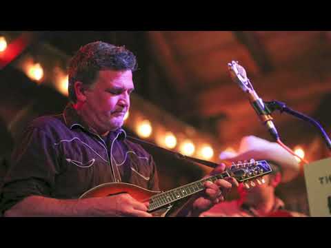 Bluegrass Stomp, The Hayrollers