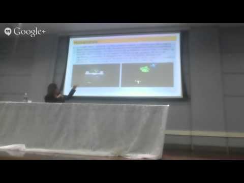 Intermidialidade 2014 - Luci Collin (UFPR)