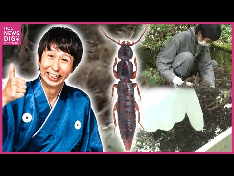 ヤマネは生物学者を驚かせる