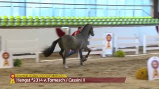 Video von Tornado Mt