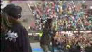 Tokio Hotel - Ready Set Go (Live in Spain) MTV 2007