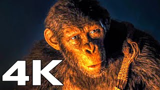 KINGDOM OF THE PLANET OF THE APES We will name her Nova Clip (4K UHD)
