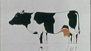 Die Sendung mit der Maus - Die Kuh 1972