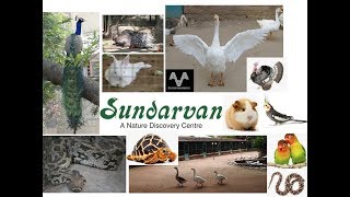 preview picture of video 'Sundarvan Nature Discovery, Near ISRO, Ahmedabad. A must visit tourist place in Gujarat'