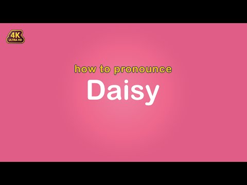how to pronounce Daisy 【Name】