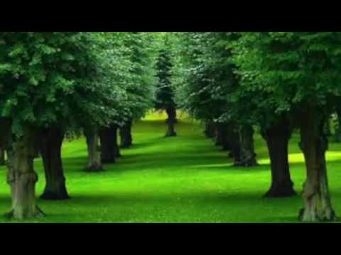 Jacob Prasch - Kashrut and Famine