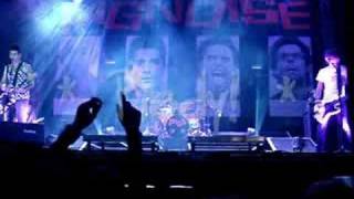 PIGNOISE 04/09/08 - en mi habitación