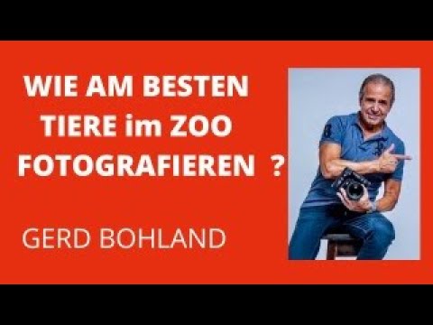 Tiere im Zoo richtig fotografieren.