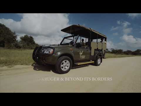 Unforgettable Kruger Park Safaris