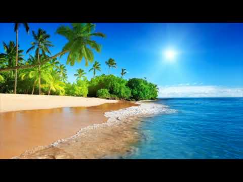 91GoldenRoses (Prod.Vito)