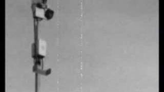 Lunatic-Groupe sanguin