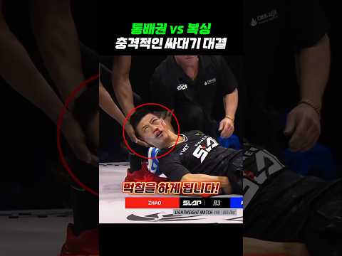 통배권 vs 복상 싸대기 대결 ㅠㅠ