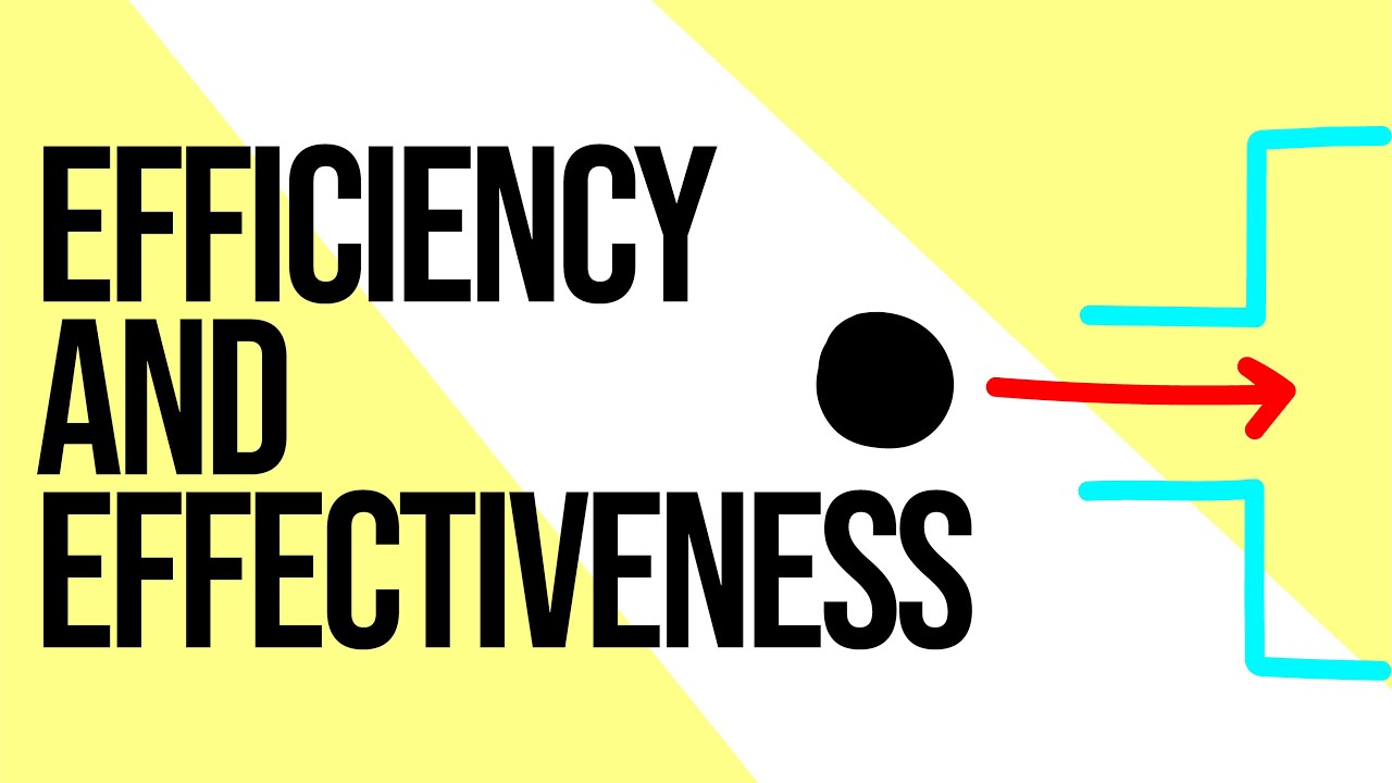 EFFICIENCY AND EFFECTIVENESS [VCE BUSINESS MANAGEMENT] | Animated Learning by VCEWeb