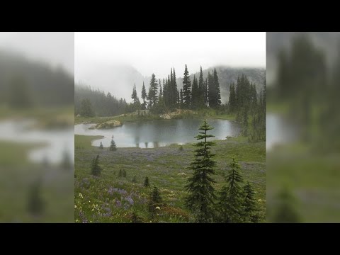 [FREE FOR PROFIT] dnb x ambient x hyperpop type beat - "landspace"