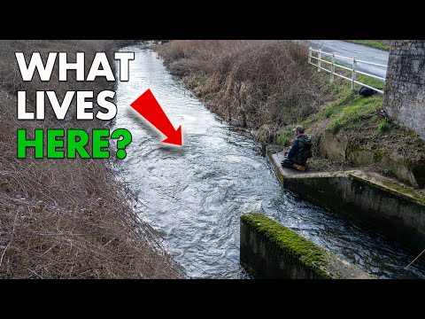 EVERYONE should TRY THIS! Small Stream & River Fishing Fun