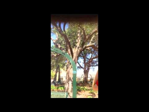 Rejection Therapy Instant Date Part 2