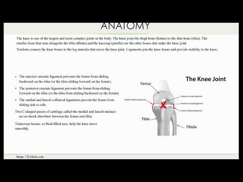 Knee pain causes, symptoms and treatments