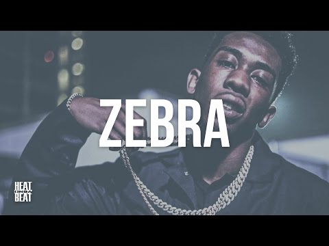 (FREE) Desiigner Type Beat | Zebra - Heat On Da Beat (Prod. FD)