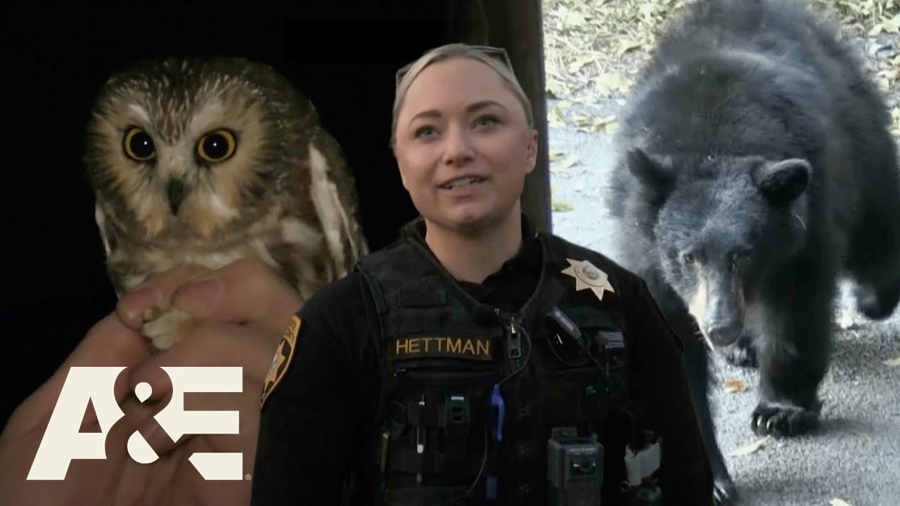 Live PD: Greatest Shifts – Patrolling the Unexpected (Part 4) – Full Episode MARATHON | A&E