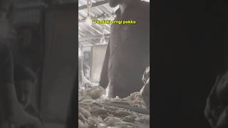 Food വേണ്ടകിൽ ഇറങ്ങി പൊക്കോ 😡 | fight at restaurant #kochi #fight #viralshorts #prank