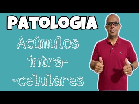 Aula de Patologia - Professor Luciano - Acúmulos intracelulares