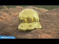Death Stranding 2 Conqueror Of The Golden CC Trophy Guide Golden Chrial Creature Location