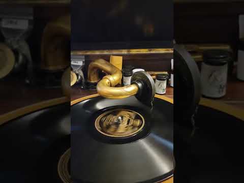 She's Got It - (Irving Kaufman) Fred Rich & his Hotel Astor Orchestra Columbia Records #1036 1927