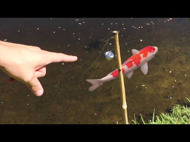 Catching COLORFUL FISH with BELLS!!