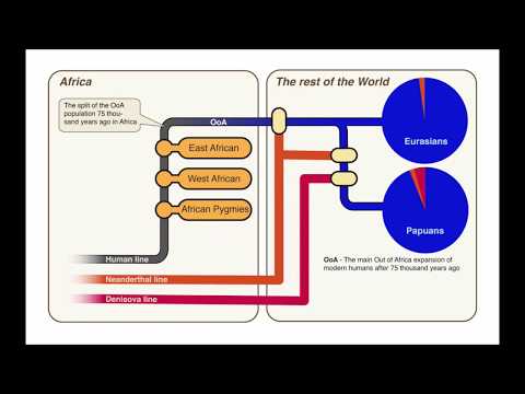 Dr Luca Pagani  humans migrated from Africa  around 125,000 years ago