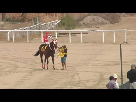 SINT FLORIDA 230216 c02 1° TECNIS