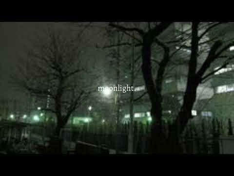 moonlight - alia lara, 1timothy (sped up)