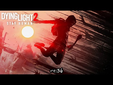 Chase the truck and find the assassin | Dying Light 2 Stay Human Gameplay Pt:36