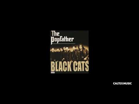 Black Cats (ft. Kamran & Hooman) - Begoo Mano Kam Dari | بلک کتس با کامران و هومن - بگو منو کم داری