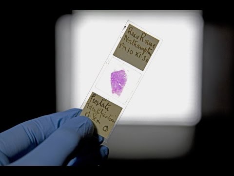 download lagu mp3 mp4 Forensic Science Mooc, download lagu Forensic Science Mooc gratis, unduh video klip Forensic Science Mooc