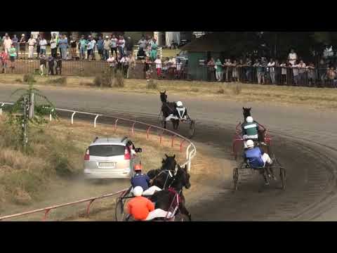 Trka "Touchdown Hanover" 25.08.2019 Equilan - Aleksandar Dimitrijević