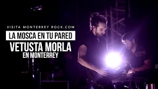 Vetusta Morla en vivo Monterrey - La Mosca en tu Pared