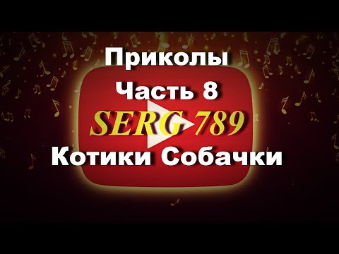 🔴Приколы Котики Собачки (часть 8)✅ 🙂 👍 🐱 🐶