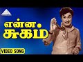என்ன சுகம் HD Video Song பல்லாண்டு வாழ்க M G ராம