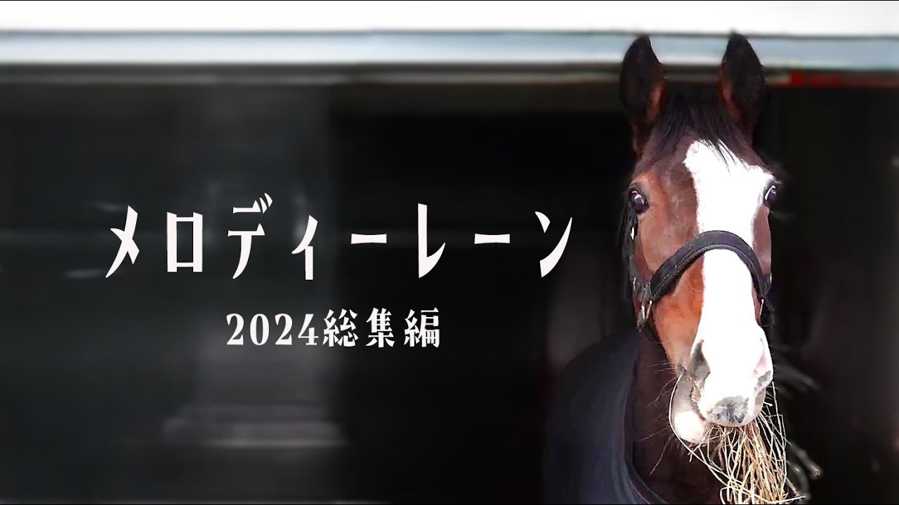 メロディーレーン 2024総集編