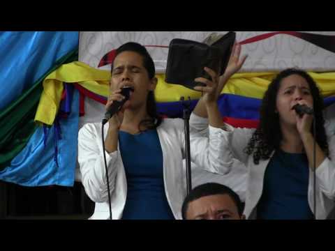 Hoy podemos gritar libertad - Neryi Solano