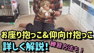 うさぎの抱っこのやり方&練習方法！【How to hold a rabbit】