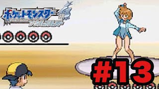 # 13 【ポケットモンスター　ソウルシルバー】